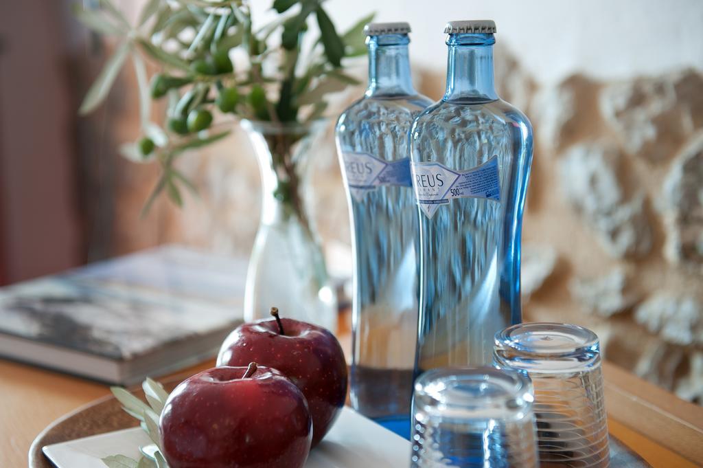 Mas Falgarona Hotel Boutique & Spa Avinyonet de Puigventós Εξωτερικό φωτογραφία