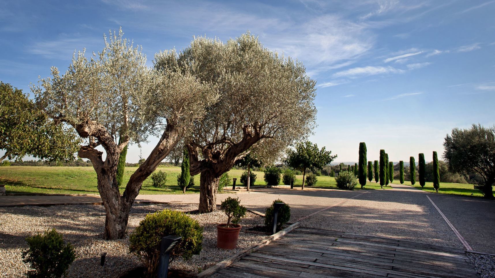 Mas Falgarona Hotel Boutique & Spa Avinyonet de Puigventós Εξωτερικό φωτογραφία